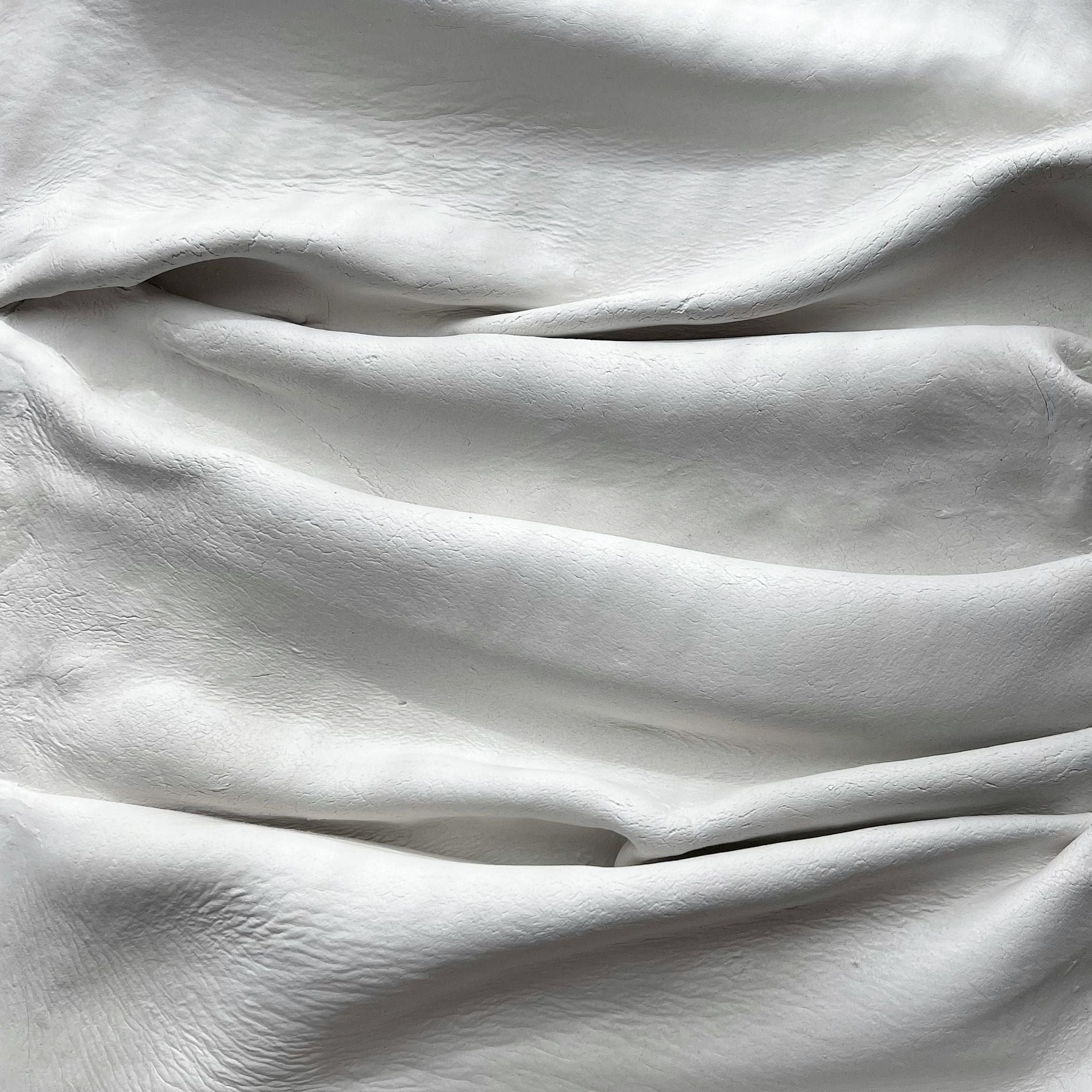 Cotton Poplin fabric texture
